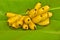 Yellow lady finger bananas put on green banana leaf, kluay-khai, Musaceae, Pisang Mas