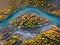 Yellow Larches on Island and Chuya River in Autumn. Aerial Vertical Top-Down View. Kurai Steppe, Altai, Russia