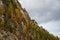 Yellow larches trees glowing on the edge of the rocky mountain. Dolomite alps, autumn landscape Italy