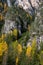 Yellow larches trees glowing on the edge of the rocky mountain. Dolomite alps, autumn landscape Italy