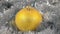 Yellow large New Year and Christmas decorations glass ball - decorations
