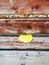 Yellow leaf on the brown, woode texture bench