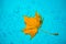 Yellow leaf and drops on the blue waterproof material