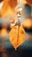 a yellow leaf hanging from a string with water droplets on it