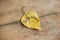 Yellow leaf with the inscription SEPTEMBER on the old wooden background