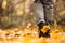 Yellow leaf stuck to the women`s shoe during a walk through the autumn forest. Indian summer