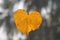 Yellow leaf of a tree in the shape of a heart. Autumn romantic d