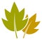 Yellow leafs. Tree foliage icon. Natural sign