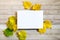 Yellow leaves autumn wooden background white blanc paper copy space