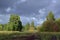 Yellow leaves of birches and red leaves of bird cherry and mountain ash against the background of still green trees at the very be