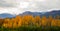 Yellow Leaves Fill Tanana River Valley Below Mountains Denali Al