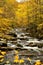 Yellow leaves surround rushing waters.