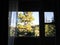 Yellow Leaves from Window of Hotel in Lake Louise Village, Canadian Rockies