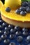 Yellow Lemon blueberry Cheesecake