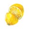 Yellow lemon. cut in half. watercolor drawing. separate element on a white background. hand drawing