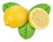 Yellow lemon with green leaf
