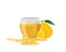 Yellow lemon lime fruit with glass jar of pure honey icon vector illustration