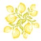 Yellow lemon line marker bright citrus fruit