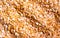 Yellow lentils, detail texture background, closeup of lentils background
