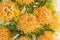 Yellow leucospermum cordifolium flower pincushion protea