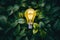 Yellow light bulb is placed on top of lush green plant. Sustainability, growth, and eco-friendly concepts.