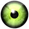 Yellow and light green eyeball with isolated