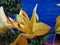 Yellow Lily. Decorative flowers. Stamens and Pistil macro.