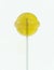 Yellow lollipop