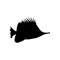 Yellow Longnose Butterflyfish silhouette