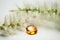 Yellow luxury gemstone in oval cut with soft white nature flower fashion background