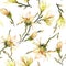 Yellow magnolia flowers on a twig on white background. Seamless pattern. Watercolor painting. Hand drawn.