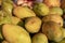 Yellow mango fruit pile in sunlight. Tropical fruit closeup photo. Organic mango heap on rustic market.