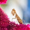 Yellow mantis sits on red flower cockscomb