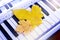 Yellow maple leaves on the keys of the piano. Autumn melody for