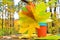 Yellow maple leaves with multi-colored paper coffee cup on a wooden table in the forest. Autumn concept of the onset of cold