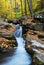 Yellow maple trees with Autumn mountain creek