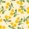 Yellow Marigold Seamless on Beige Ivory Background. Vector Illustration