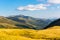 Yellow meadow in Carpathian valley