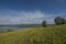 Yellow meadow near Milada lake