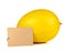 Yellow melon full ball with Brown paper label on white background.