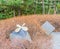 Yellow metal butterfly on stone cube