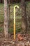 Yellow metal candy cane shaped vent relief pipe with cracked paint sticking out of ground surrounded with garbage and tall trees