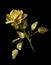 Yellow Metal Rose