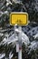 Yellow metal sign in winter forest, bike, copy space