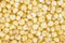 Yellow millet macro close up