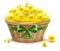 Yellow mimosa flowers full wicker basket