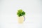 Yellow miniature artificial flower in a pot