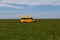 A yellow minibus stands in the steppe among blooming wild tulips
