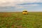 A yellow minibus stands in the steppe among blooming wild tulips. Kalmykia