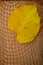 yellow minimalistic linden leaf on string eco-friendly bag grid, concept of golden autumn, autumnal vibes, change of season,